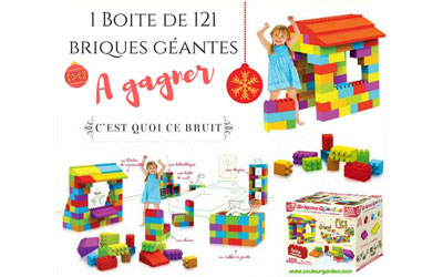 Concours gagnez une boîte de 121 briques géantes en plastique