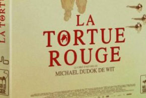 Concours gagnez 1 Blu-Ray et 2 DVD du film La tortue rouge