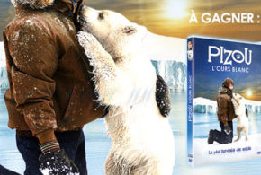 Concours gagnez 25 DVD du film Pizou l'Ours blanc