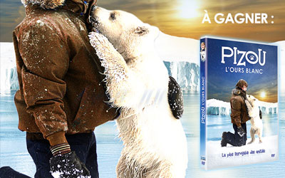 Concours gagnez 25 DVD du film Pizou l'Ours blanc