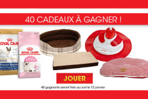 Concours gagnez 40 produits chien chat