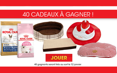 Concours gagnez 40 produits chien chat