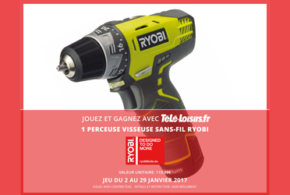 1 perceuse visseuse sans-fil Ryobi