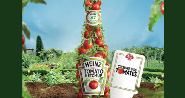 10000 échantillons gratuits de graine de tomates Heinz