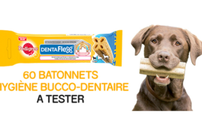 Test produit, Dentaflex PEDIGREE