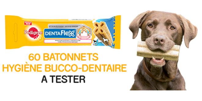 Test produit, Dentaflex PEDIGREE