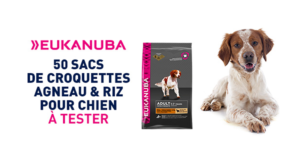 Test produit, Croquettes agneau et riz pour chien