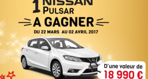 Voiture modèle Nissan Pulsar