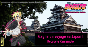 Voyage pour 2 personnes au Japon