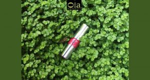 Echantillon gratuit Oïa Parfums 1 mini Volupté Tint-in-Oil d’Yves Saint Laurent