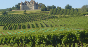 Séjours pour 2 personnes dans le vignoble de Bergerac