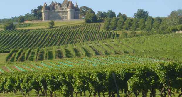 Séjours pour 2 personnes dans le vignoble de Bergerac