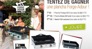 Plancha prestige 600