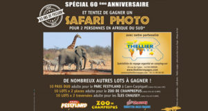 Safari photo pour 2 personnes en Afrique du Sud