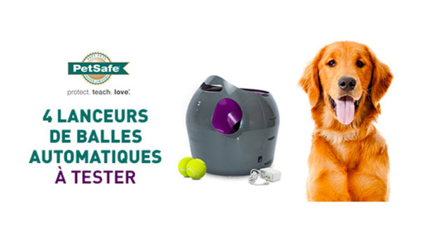 Lanceur de balle PETSAFE à tester