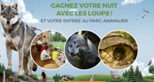 Week-end pour 4 personnes au Parc Animalier de Sainte-Croix