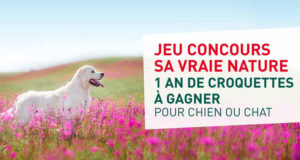 Un an de croquettes pour chien ou chat