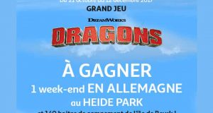 Week-end pour 4 en Allemagne au parc d'attraction Heide Park