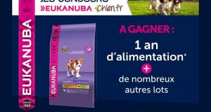 1 an d'alimentation Eukanuba pour chien