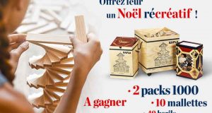 2 packs de 1000 briques Kapla