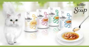 15000 échantillons gratuits du Purina Gourmet Crystal Soup