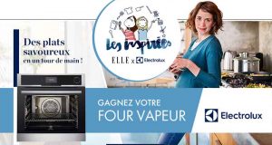 Four vapeur Electrolux (valeur 1400 euros)