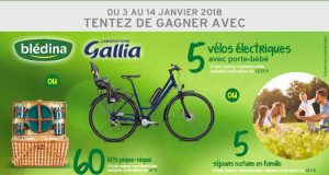 5 vélos électriques (valeur unitaire 1235 euros)