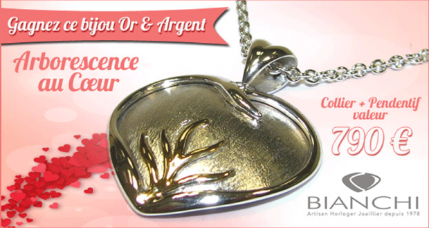 Bijou Or et Argent