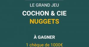 Un Chèque de 1000 euros