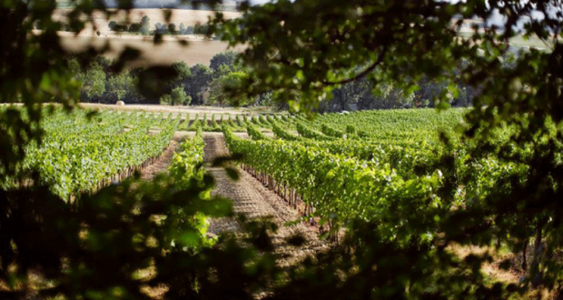 10 séjours pour 2 dans le vignoble de Bergerac et Duras