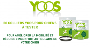 50 colliers pour chien Yoos offerts