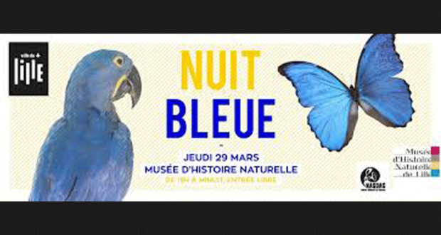 Entrée gratuite en nocturne Le musée d’histoire naturelle de Lille