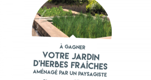 Jardin d'herbes fraîches