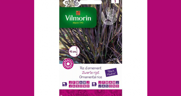 Testez gratuitement le Riz d’ornement Vilmorin