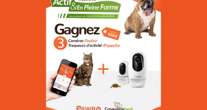 3 kits caméras Pawbo et traqueurs d'activités pour chiens et chats