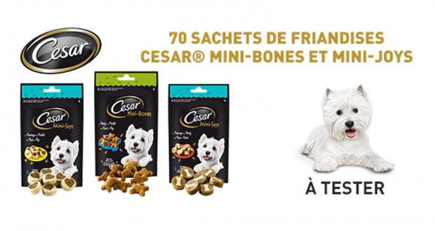 Test produit Cesar Mini-Bones et Mini-Joys pour chien