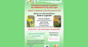 Distribution gratuite de graines de fleurs pied de murs