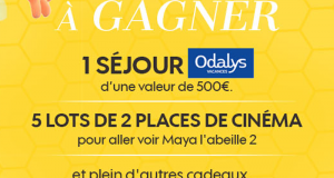 Séjour d'une semaine pour 4 dans une résidence Odalys au choix