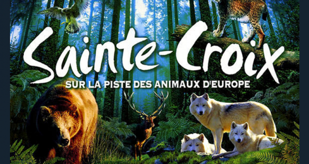 Séjour pour 4 personnes au Parc Animalier de Sainte-Croix