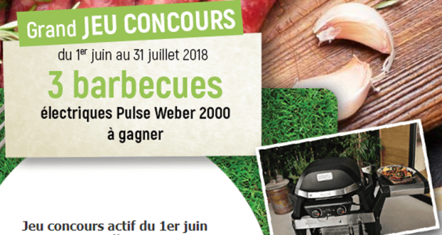 3 barbecues électriques Weber