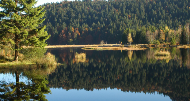 5 séjours pour 2 à 4 personnes dans les Vosges