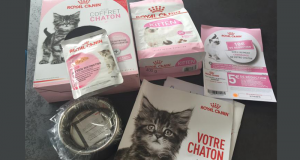 Coffrets chatons Royal Canin gratuits