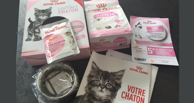 Coffrets chatons Royal Canin gratuits