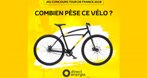 Vélo personnalisé Team Direct Energie