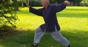 Initiation Gratuite au Tai Chi et Qi Gong