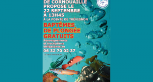 Baptême de plongée en mer gratuit