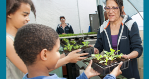 Distribution gratuite de plantes et de bulbes