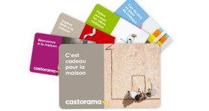 Carte cadeau Castorama de 1000 euros