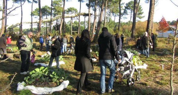 Distribution Gratuite d'Arbres - Gujan Mestras