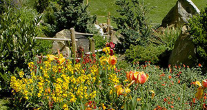 Distribution gratuite de plantes - Choisy-le-Roi